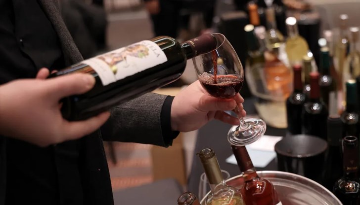 Според директора на Института по лозарство и винарство в Плевен традиционните сортове привличат все повече любители на виното