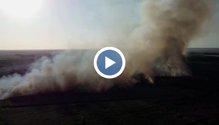 Огънят се разпространи на няколко огнища, животните в размножителен период са застрашени