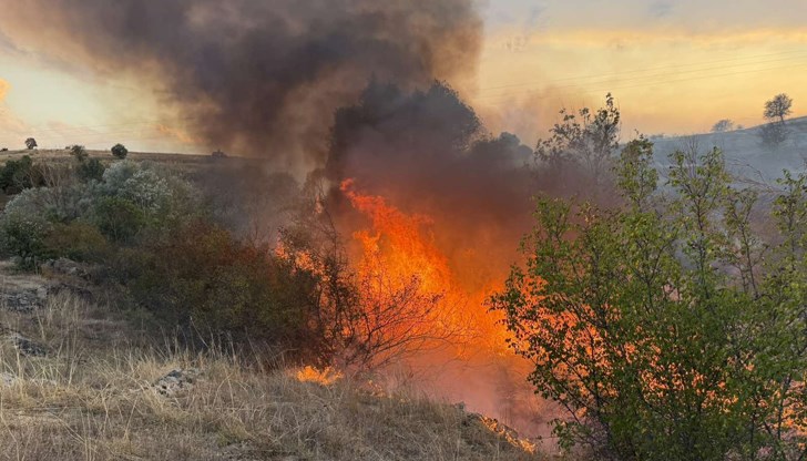 Пожар унищожи над 2300 декара