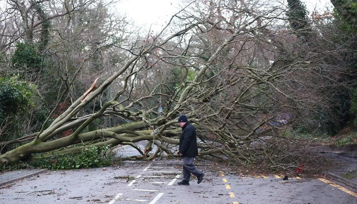 Ново проучване разкрива различна климатична динамика в региона