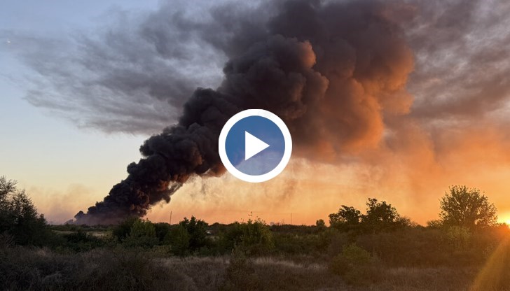 Пламъците засегнаха площ от 1000 квадратни метра, няма опасност за населението