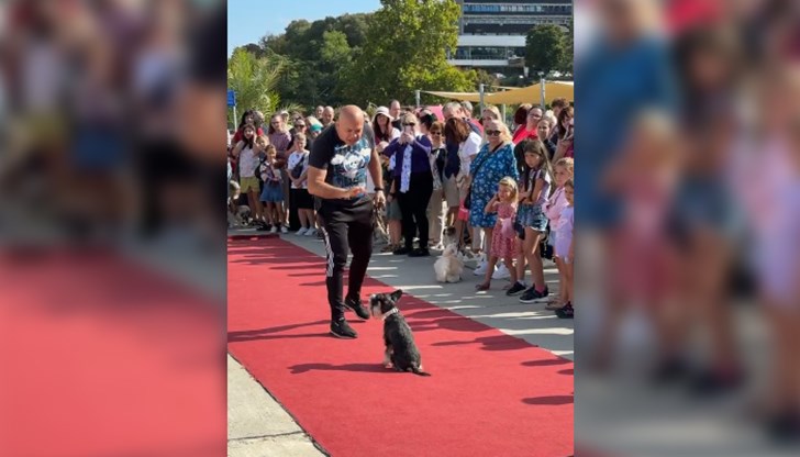 Празникът беше съпътстван от много изненади за малки и големи Празникът беше съпътстван от много изненади за малки и големи