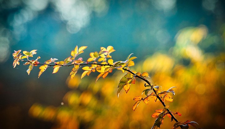 Втората октомврийска седмица ще е слънчева Втората октомврийска седмица ще е слънчева