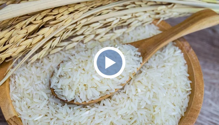 Недостигът на вода води до 20% по-малко засети площи през 2025 година