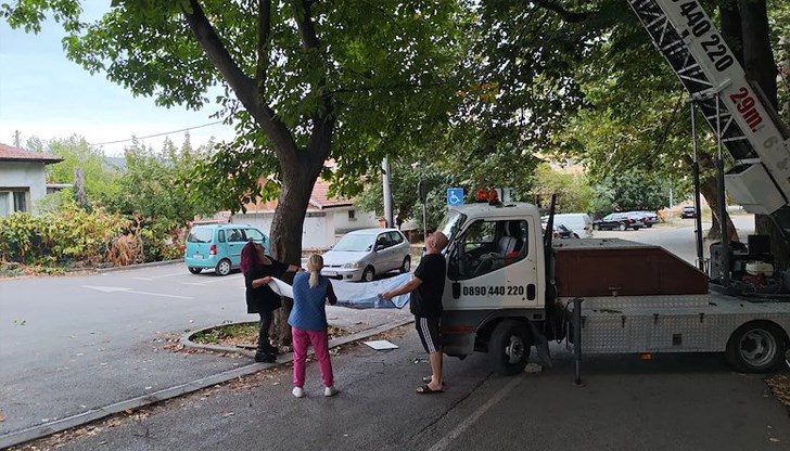 Частна фирма осигури безвъзмездно вишка за акцията, докато общината, пожарната и телефон 112 отказаха съдействие Частна фирма осигури безвъзмездно вишка за акцията, докато общината, пожарната и телефон 112 отказаха съдействие