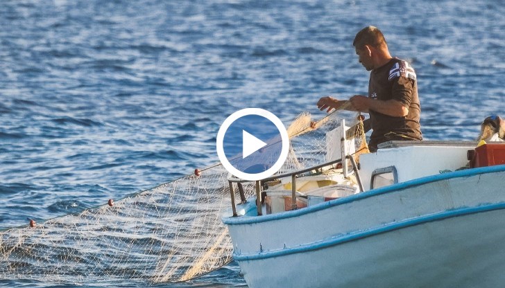 Високата температура на водата и силният вятър ограничават улова, но търговците очакват изобилие в следващите седмици