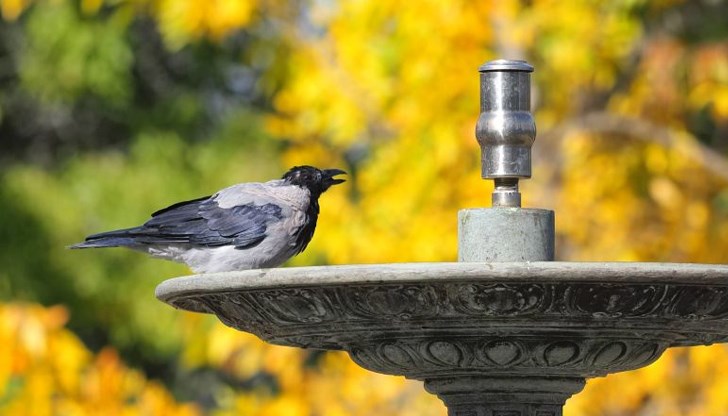 Септемврийска жега обхваща България