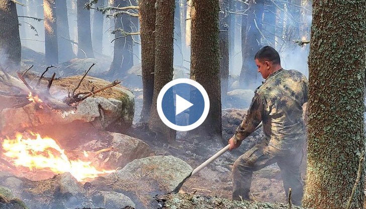 Над 500 декара са вече обхванати от огъня, който се бори срещу 80 огнеборци