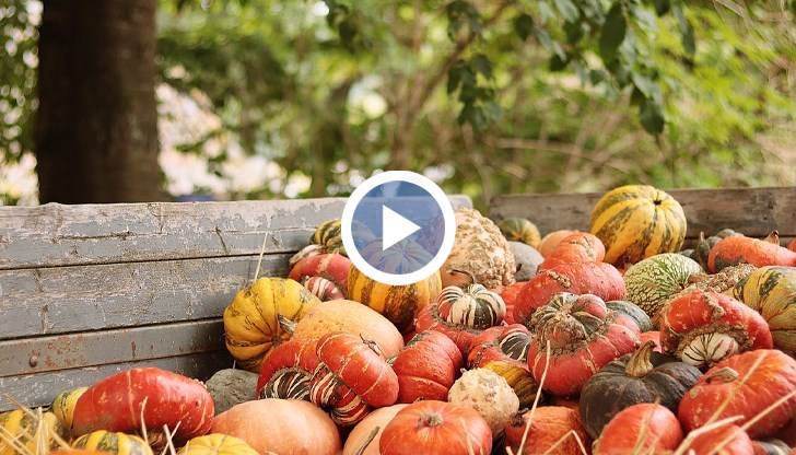 Ресторанти и кулинари търсят редки и екзотични сортове от Япония и Америка