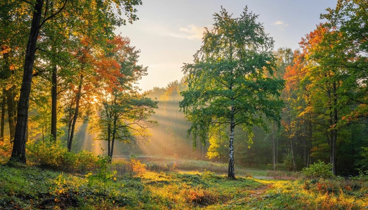 След обяд атмосферното налягане ще се понижи под средното за месеца