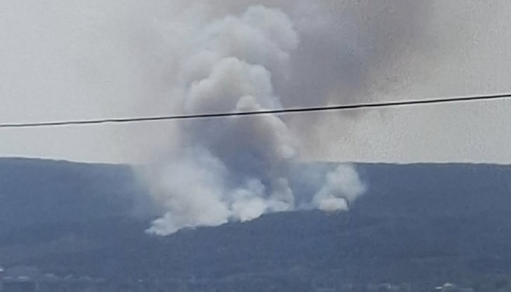 Четири противопожарни екипа се борят с пламъците Четири противопожарни екипа се борят с пламъците
