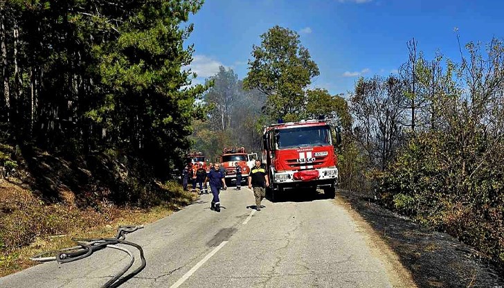 Огън обхвана сухи треви край Горнослав, прекъснаха електричеството в района