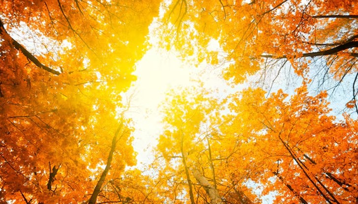 Есента се отлага: Температурни аномалии продължават до края на септември Есента се отлага: Температурни аномалии продължават до края на септември