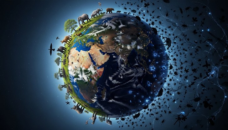 Изследователи регистрират "биологична тъмна материя" на Земята Изследователи регистрират "биологична тъмна материя" на Земята