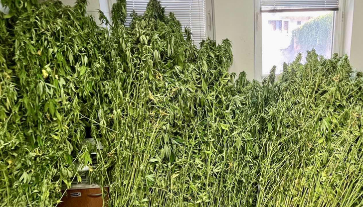 Арестуваха 31-годишен мъж при спецоперация на ГДБОПГлавна дирекция Борба с