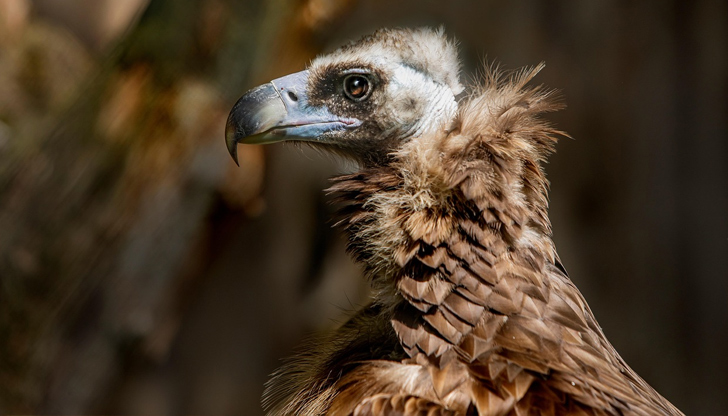 За малките посетители ще има образователни ателиета, интерактивни игри и