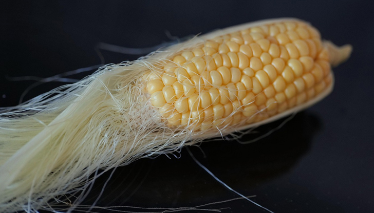 За някои хора чаят от царевична свила е лечебен, но