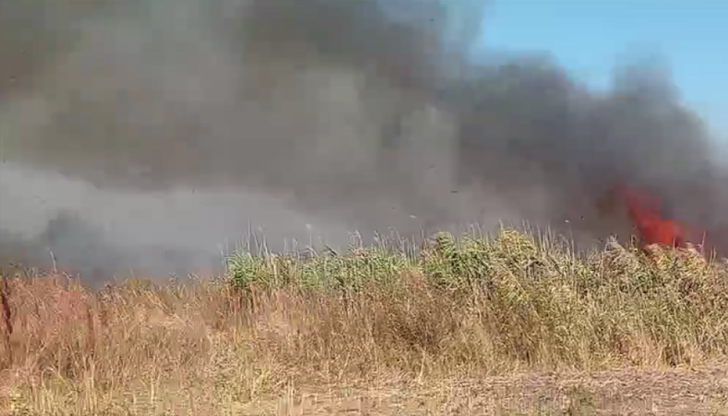 Засегнати са около 500 декара, доброволци и екипи на пожарната