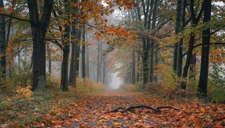 Температурите в Западна България падат до 13-14 градуса още в