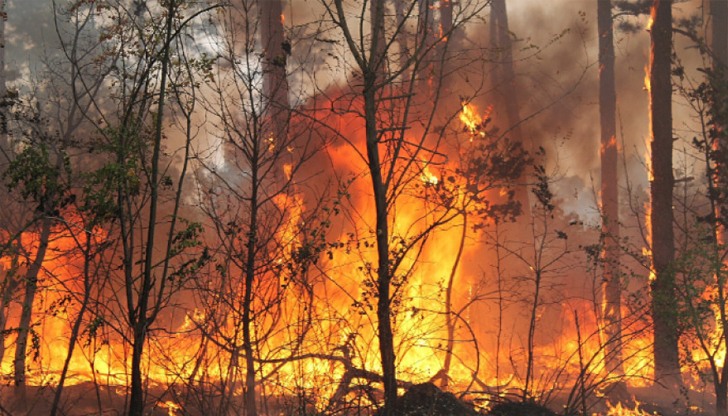 Проф. Иван Палигоров: Прогнозите за Североизточна България до 2080 година