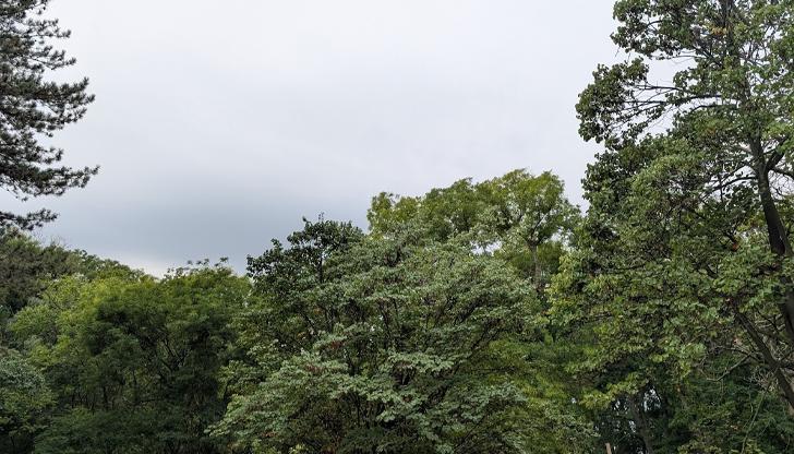 Температурите скачат до 31° в сряда, в края на седмицата