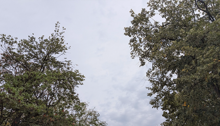 Жълт код за силен вятър е обявен в 12 области,