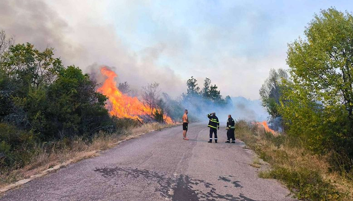 Горски служители се борят с огнената стихия в НП Рила