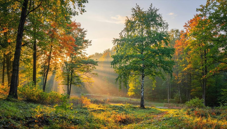 Температурите в Русе ще достигнат до 30 градусаДнес, 7 септември,