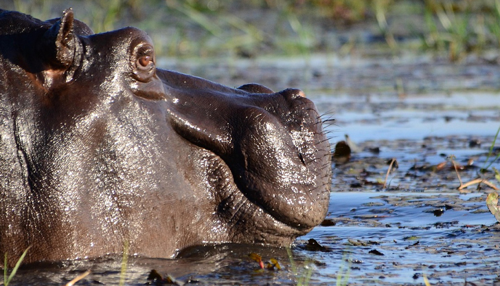 Сред изчезналите има жени, малки момичета и бебеЕдинадесет души, сред