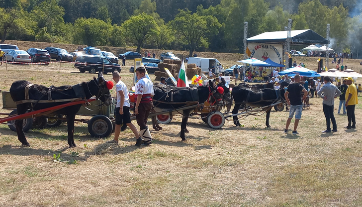 Дългоухата надпревара привлича посетители от цялата странаМощното И-а! вместо рев