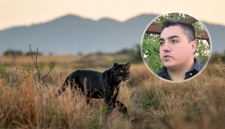 Полицията не открива следи от животното, но продължава наблюдението в