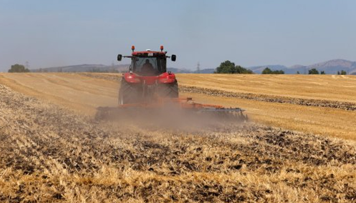 Земеделците отчитат критично ниски добиви от слънчоглед и царевицаФалити застрашават