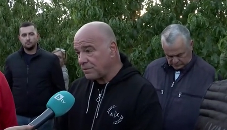 Земеделците със 100% щети по прасковите и черешите търсят спешно