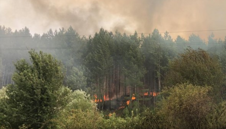 Екипи на пожарната и десетки доброволци се борят с огнената