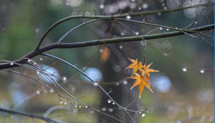 Дневните температури ще се понижат до 20 градусаПоследният ден на