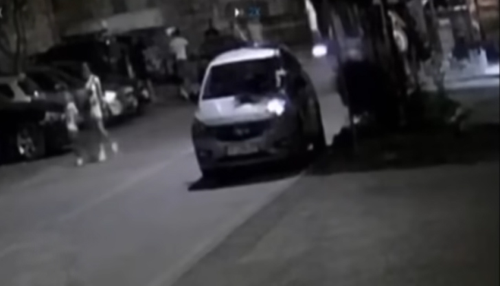 По думите на Петрова всички младежи, участници в побоя срещу