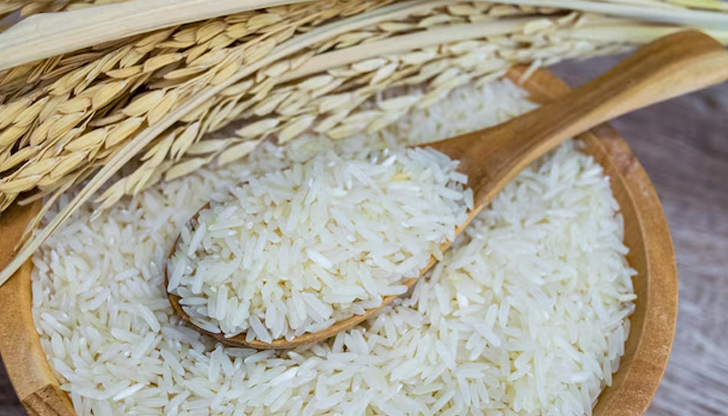 Недостигът на вода води до 20% по-малко засети площи през