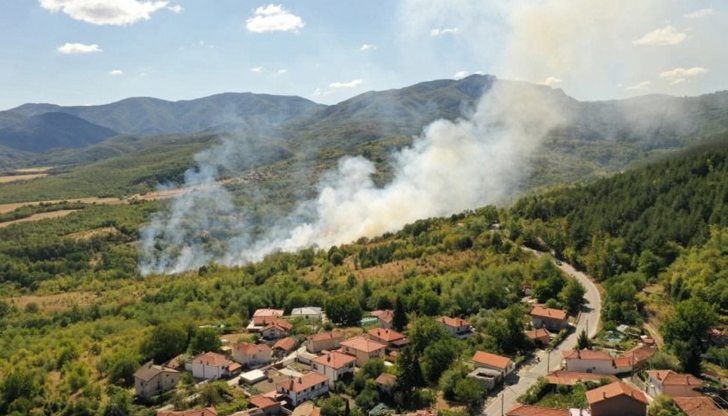 30-годишният извършител е привлечен като обвиняем, унищожени са 155 декара