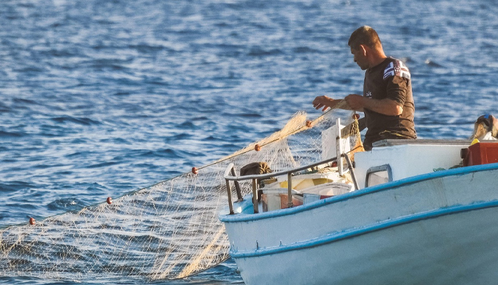 Високата температура на водата и силният вятър ограничават улова, но