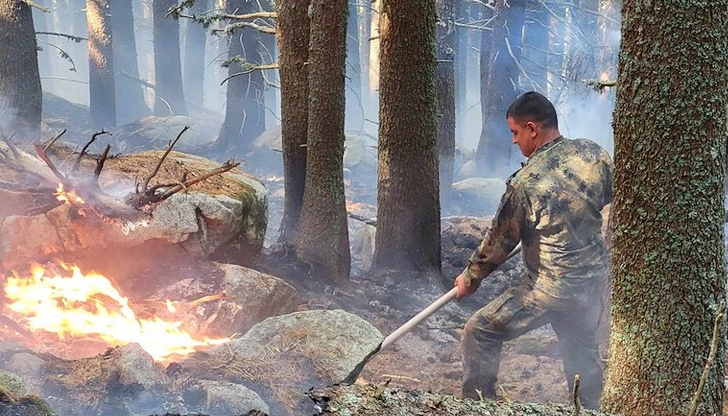 Над 500 декара са вече обхванати от огъня, който се