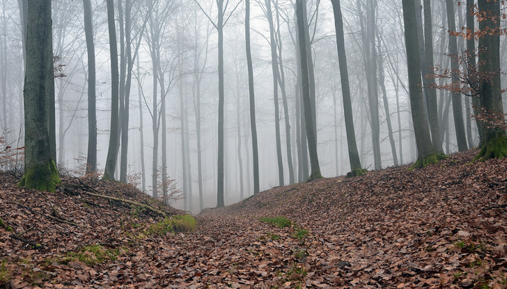 Според ранните прогнози ще има условия за валежи и силни,