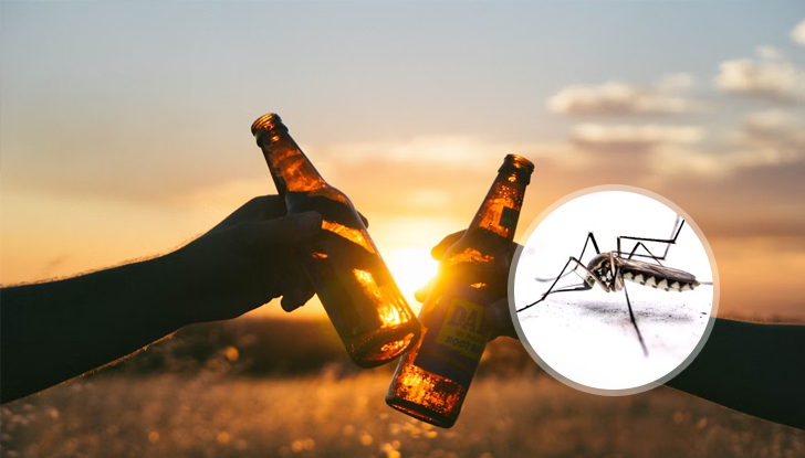 Учените Хол и Бланкен: Бирата привлича комарите с 44%Любителите на