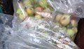 Уволниха 10 служители на НКЖИ след кражбата на ябълки