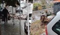 Паднали дървета помляха коли и затвориха пътища в Русе