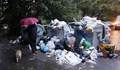 Затворници започват да събират боклука в София