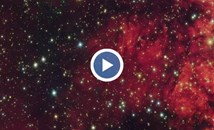 Астрономи уловиха изображение на прилеп от Космоса