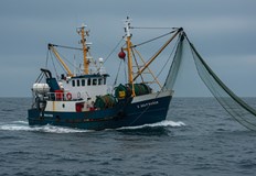 Грийнпийс публикува карта с местата където риболовът унищожава морското дъно