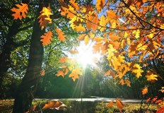 Европейският модел потвърди прогнозата за температури близо до летни след