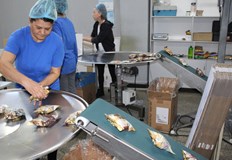 На заседание на българо румънската земеделска комисия бе посетена фабрика Мартис