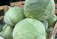 Мария от Пазарджишко Унищожаваме производството си веригите и борсите ни